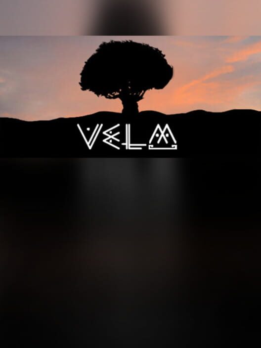 Steam cover for VeLM.