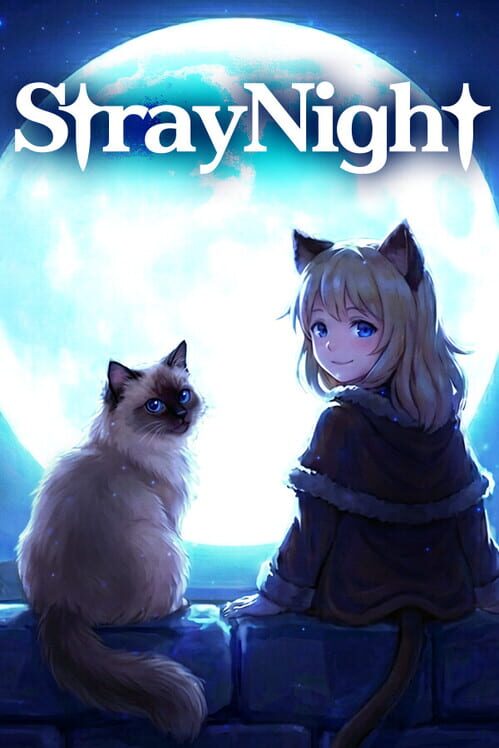 Capa de Stray Night