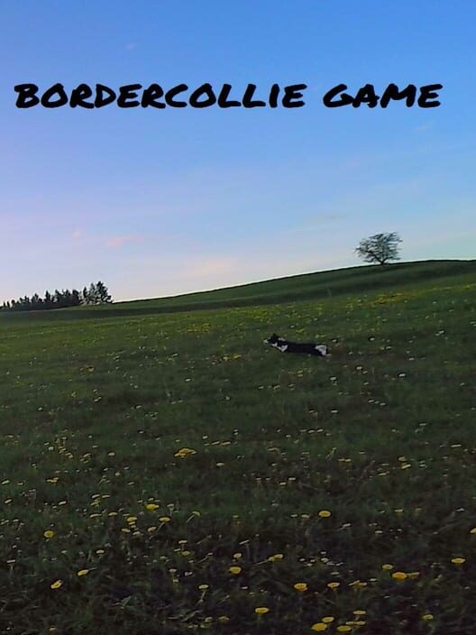 BorderCollie Game cover