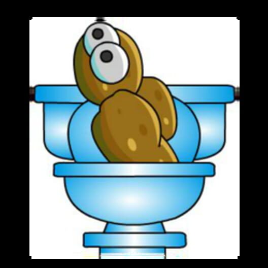 Crappy Turd 封面