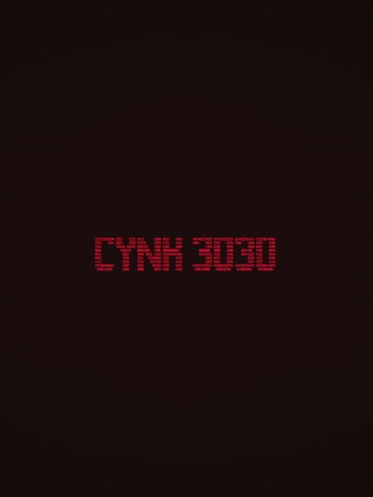 Cynk 3030 cover
