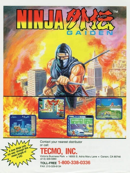 Ninja Gaiden cover