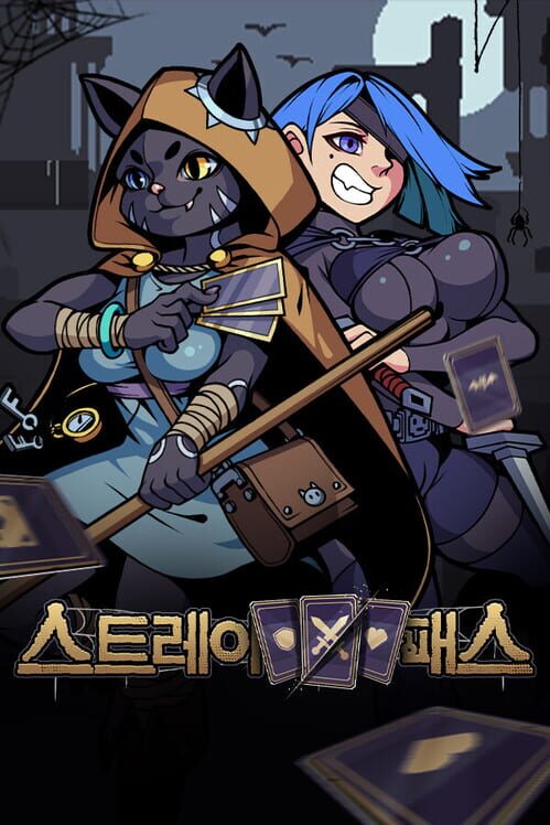 스트레이 패스 封面