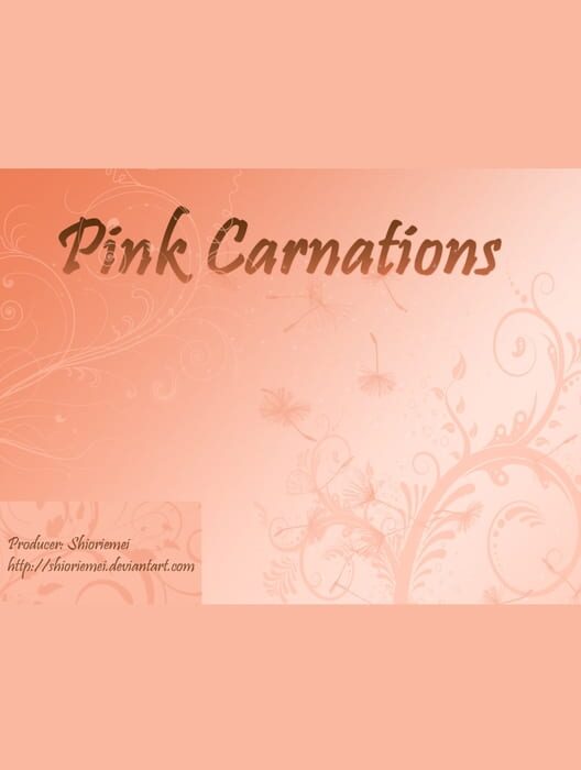 Pink Carnations Cover