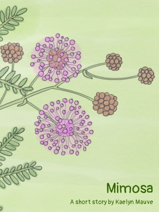 Mimosa Cover
