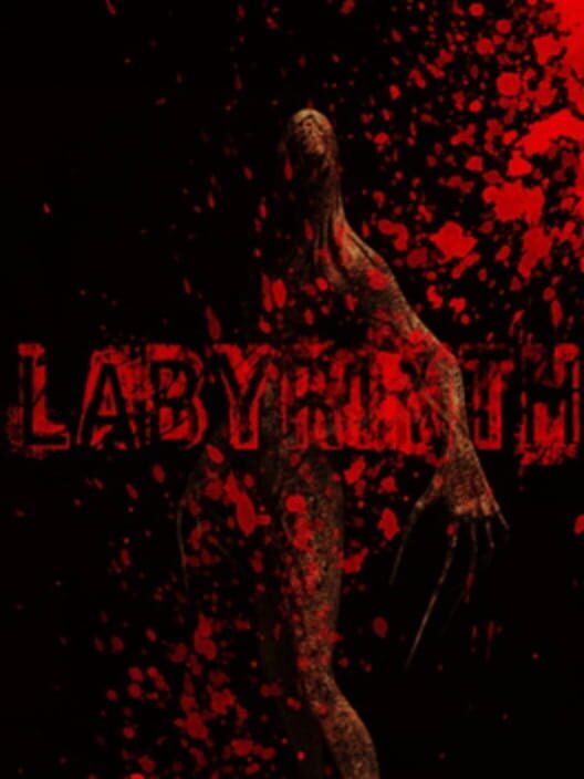 Labyrinth Cover
