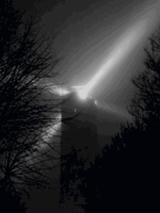 Capa de The Quiet Pelagian