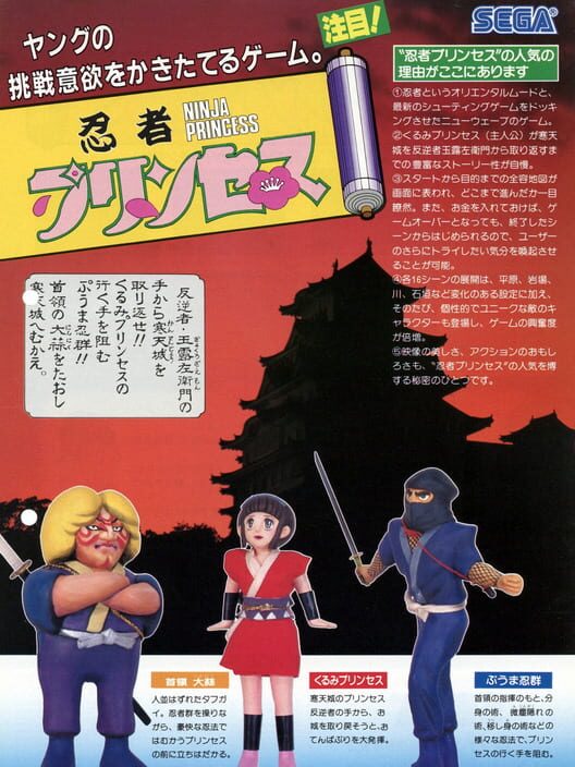 忍者プリンセス