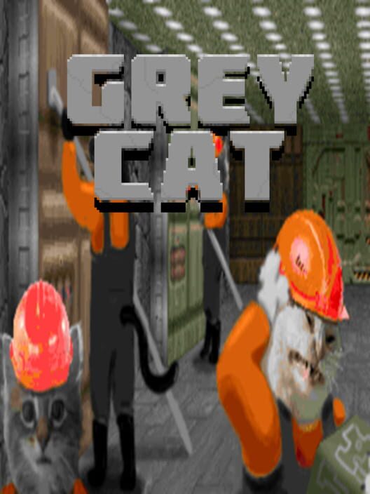 Grey Cat