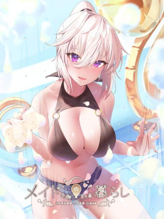 Maid-san no Iru Kurashi: Premium Edition 封面
