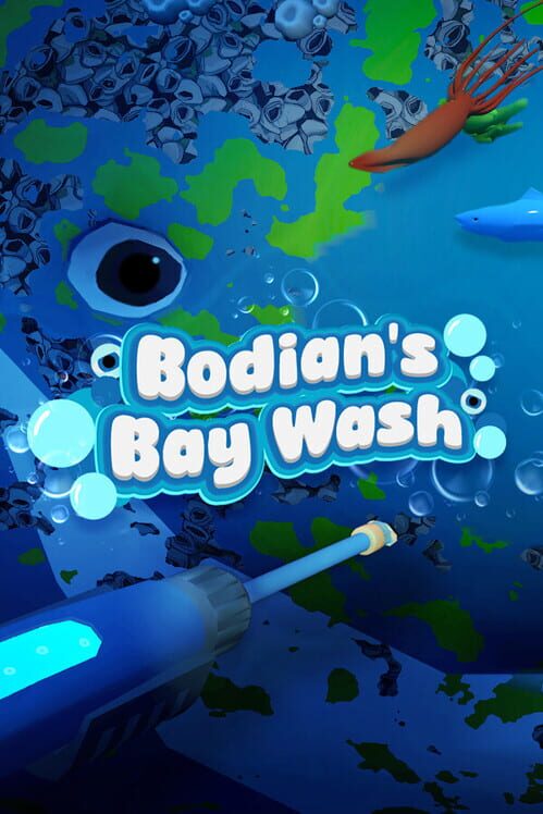 Capa de Bodian's Bay Wash
