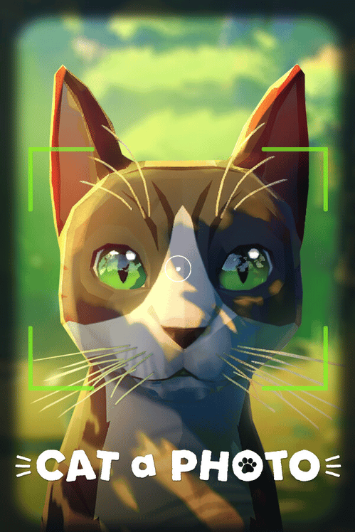 Cat a Photo