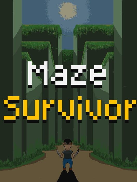 Maze Survivor Cover