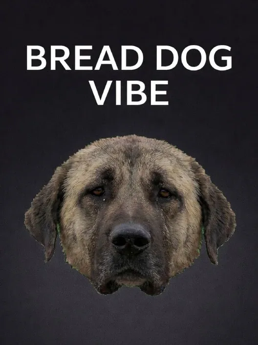 Bread Dog Vibe