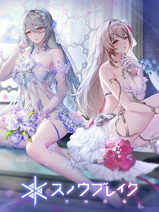 スノウブレイク：禁域降臨 封面