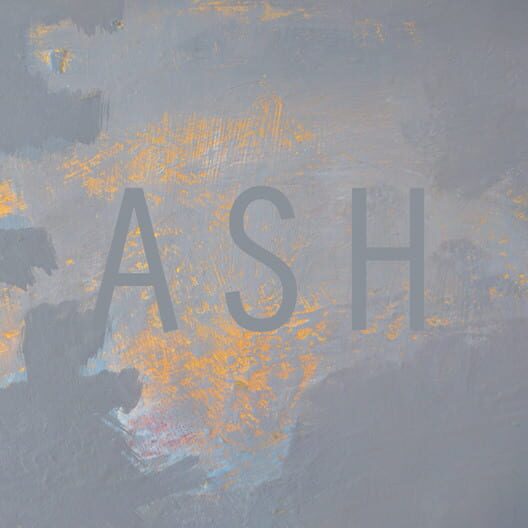 Ash poster