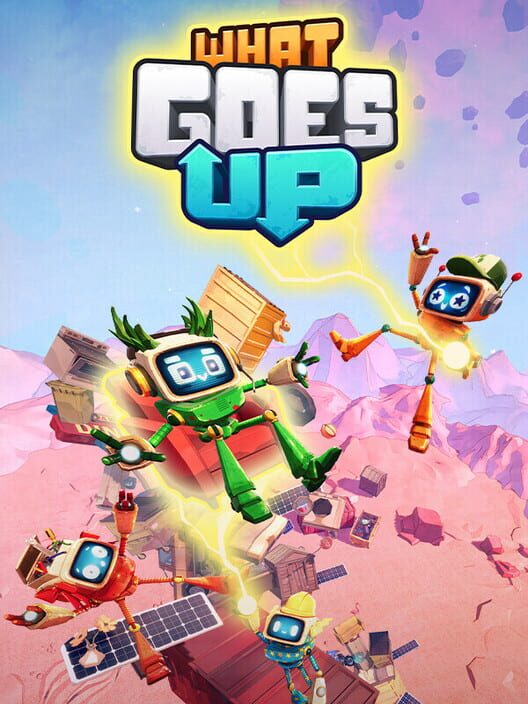 What Goes Up