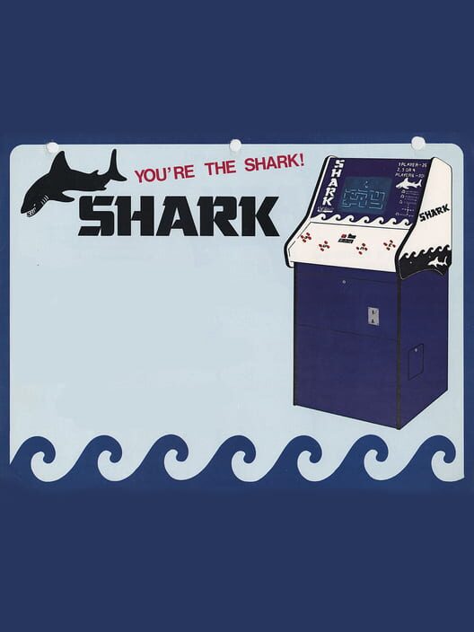 Shark poster