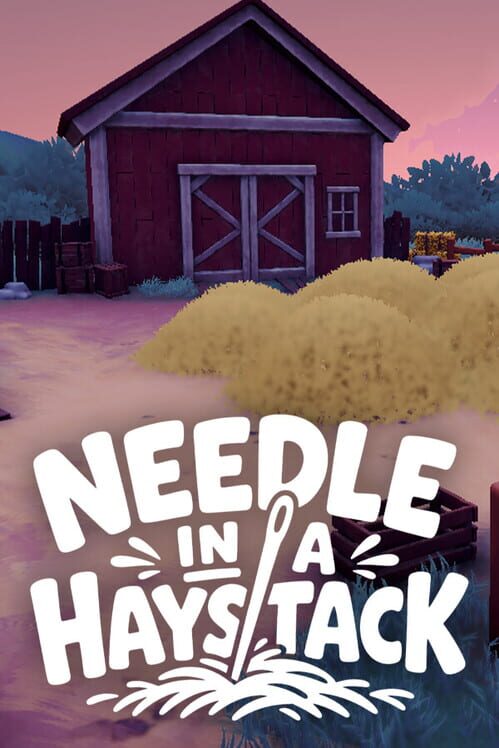 Needle in a Haystack cover
