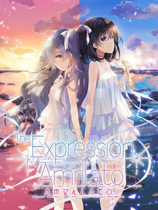 The Expression Amrilato poster