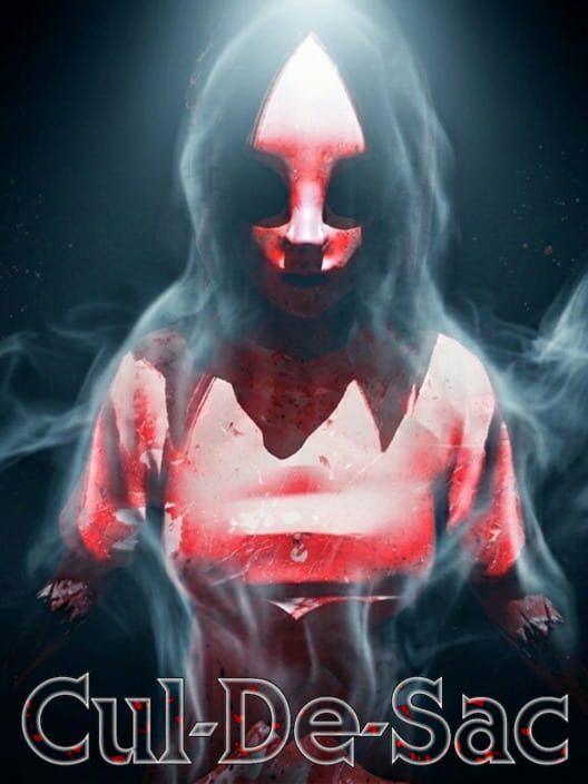 Cul-De-Sac cover
