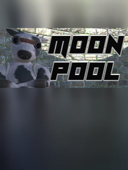 Moon Pool cover
