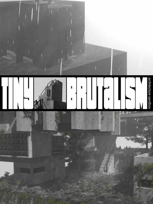 Tiny Brutalism 封面