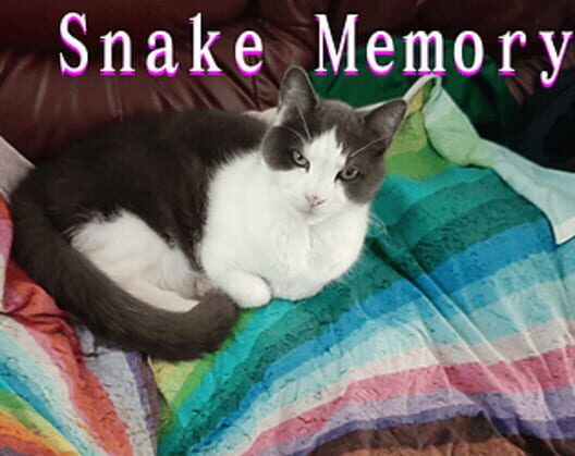 Snake Memory 封面