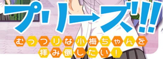 Please!! I want to Beg the Voluptuous Koume-chan into Consent! · 游戏封面