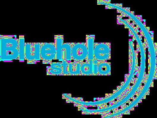Bluehole Studio logo