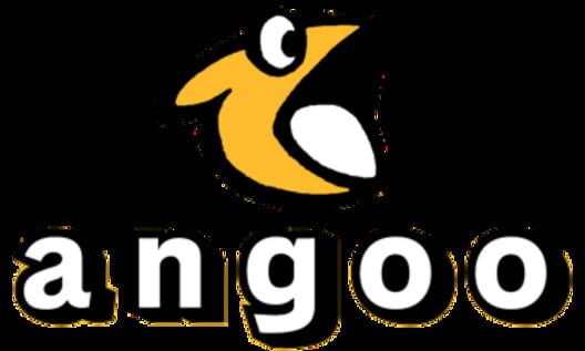 angoo Inc. cover