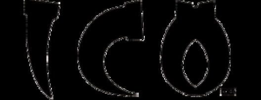 Team Ico logo