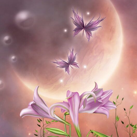 Hidden Garden Midnight cover