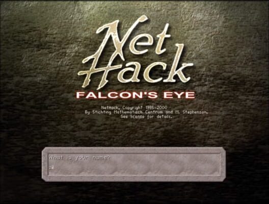 Nethack: Falcon's Eye cover
