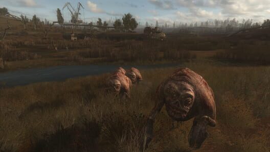 S.T.A.L.K.E.R.: Call of Pripyat screenshot 4