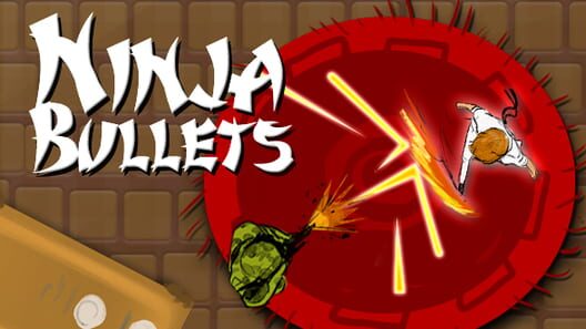 Ninja Bullets