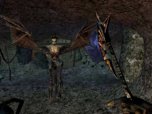 The Elder Scrolls III: Morrowind - Game of the Year Edition screenshot 5
