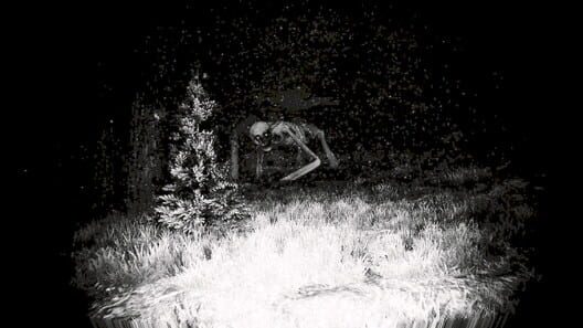 Prospice screenshot 8