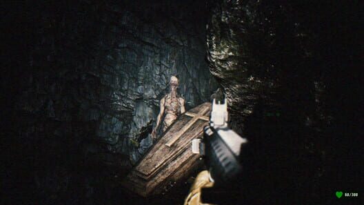 Gutted: Infested Crypts screenshot 6