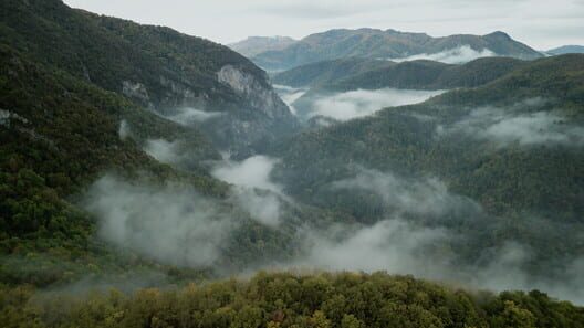 Wordless Forest screenshot 4