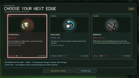 Rogue Links screenshot 8