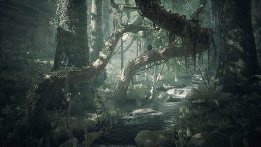 Ancestors: The Humankind Odyssey screenshot 5