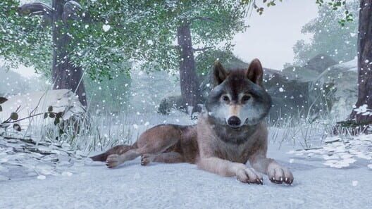 Planet Zoo screenshot 8