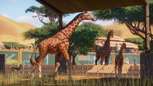 Planet Zoo screenshot 2