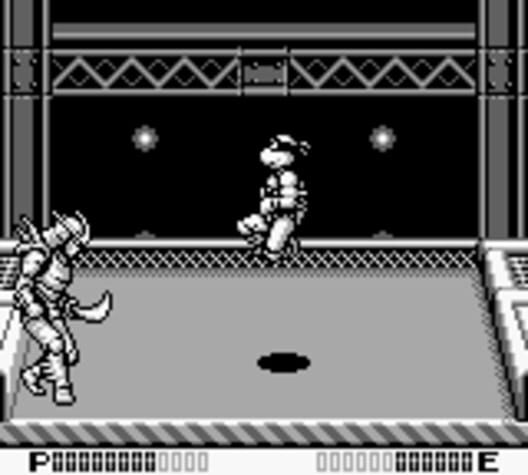 Teenage Mutant Ninja Turtles II: Back from the Sewers screenshot 9