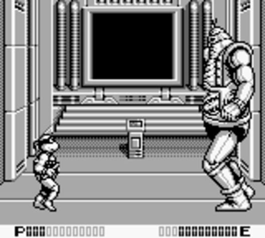 Teenage Mutant Ninja Turtles II: Back from the Sewers screenshot 10