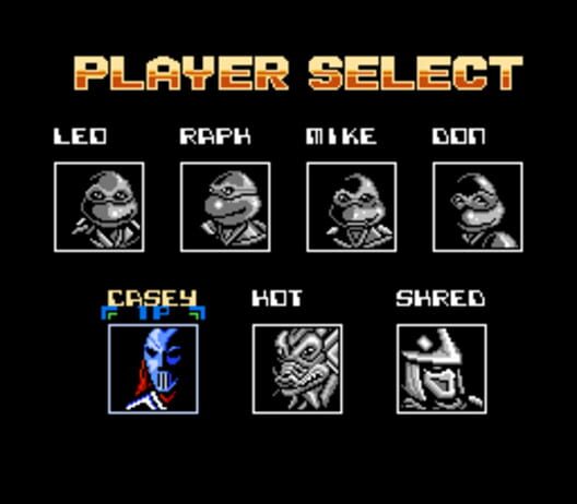 Teenage Mutant Ninja Turtles: Tournament Fighters screenshot 4