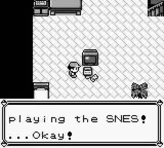 Pokémon Blue Version screenshot 3