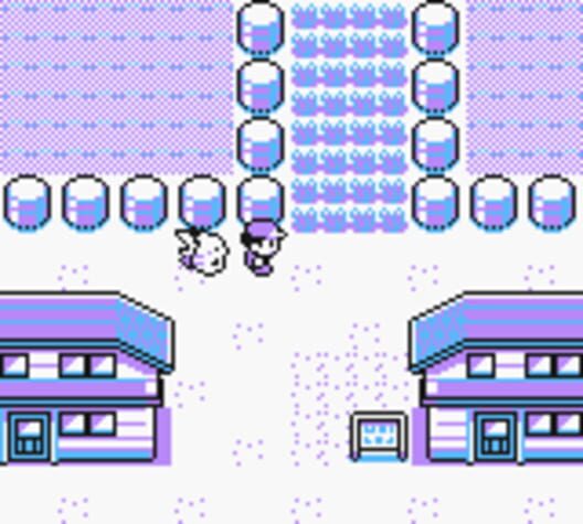Pokémon Yellow Version: Special Pikachu Edition screenshot 4