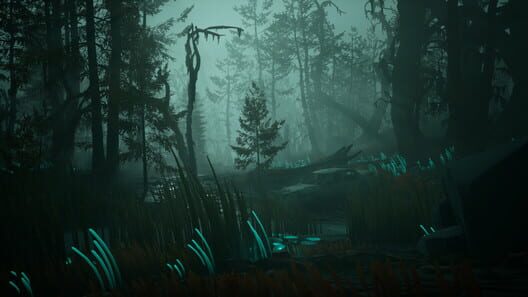 Pacific Drive screenshot 10